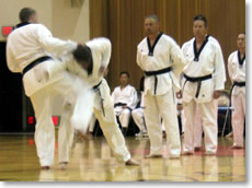 2006 6th dan Exam