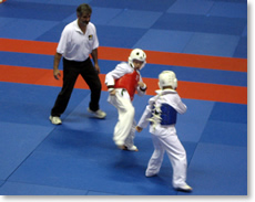 2008 UC Open Taekwondo Championships