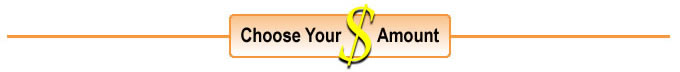 Call the shots: Select your $ amount