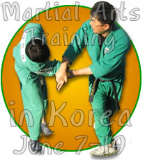 Martial Arts Training in Korea: June 7-19