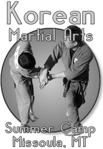 International Korean Martial Arts Summer Camp: June 15-17