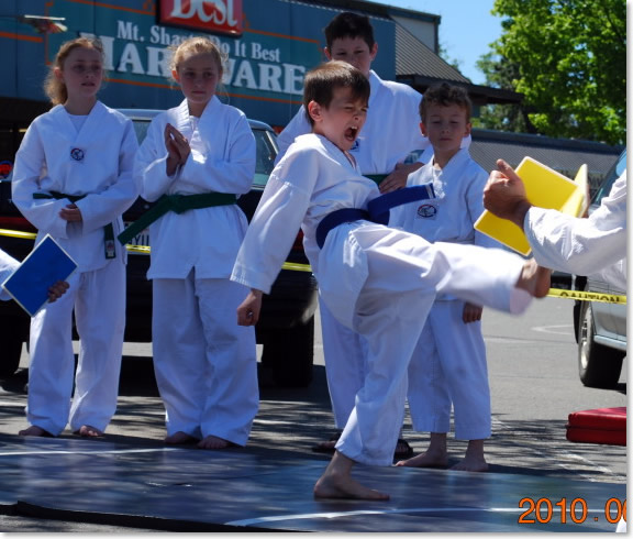 Front Kick Board Break