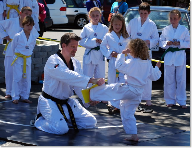 Front Kick Board Break