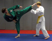 Spin-Hook Kick