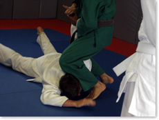 Arm Bar