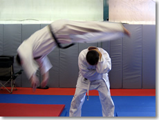 Dive Roll