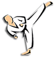 TKD Techniques Info