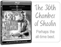 36th Chamber Of Shaolin