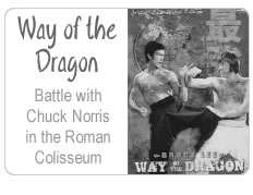 Bruce Lee: Way of the Dragon