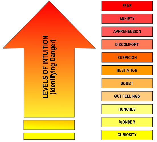 Levels of Intuition