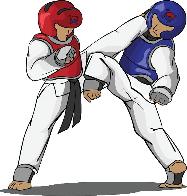 Taekwondo Sparring